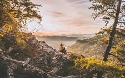 Using Affirmations Help You Achieve A Wealth Mindset